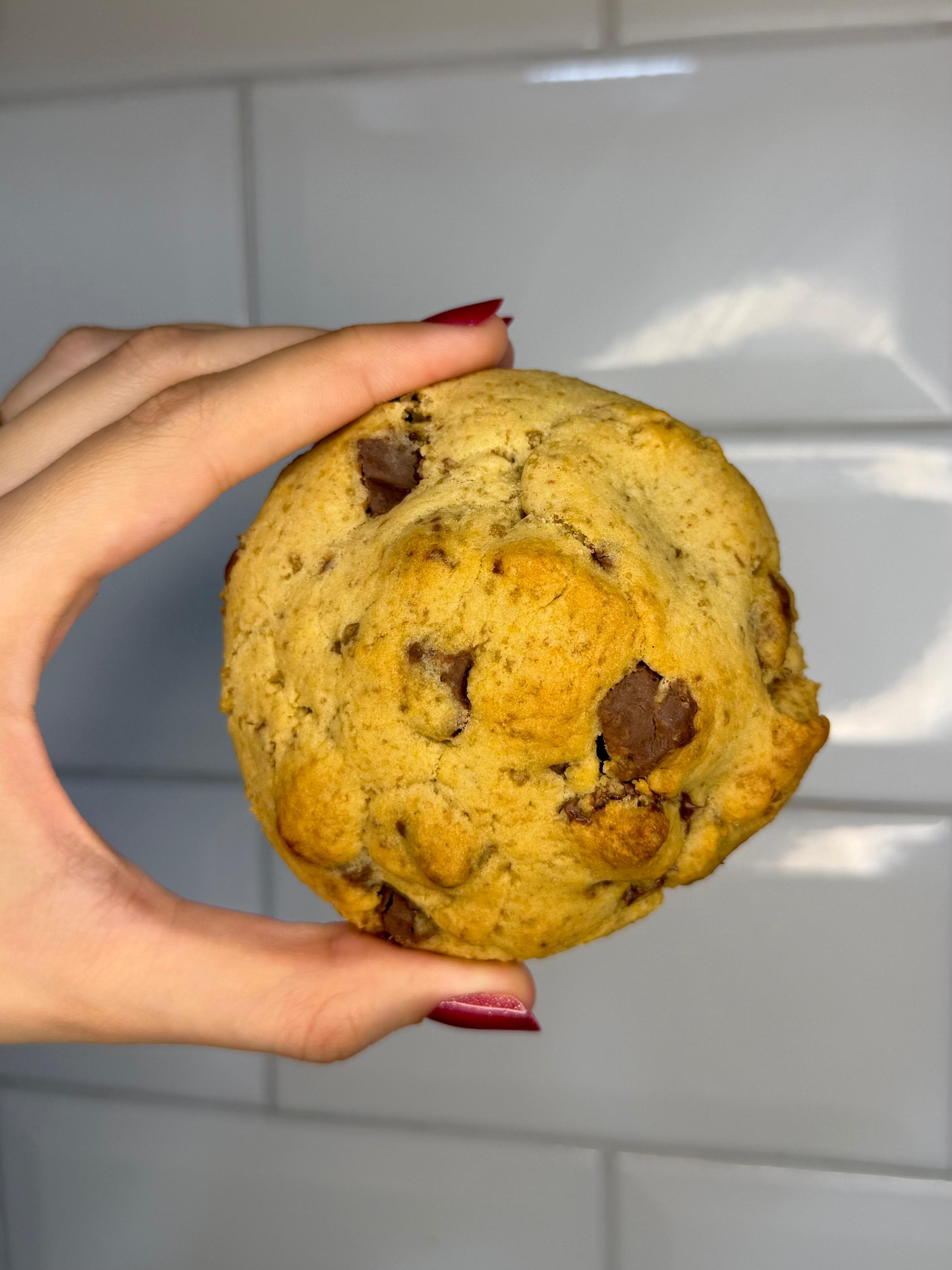 Yorcookie Original